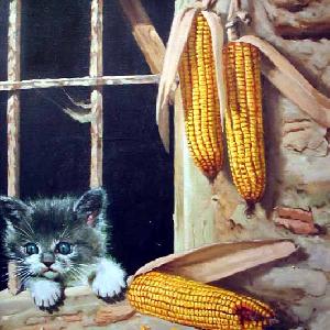 Gato en ventana