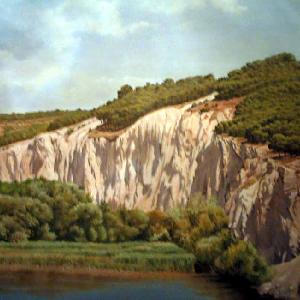 Los pinos de Marcilla
