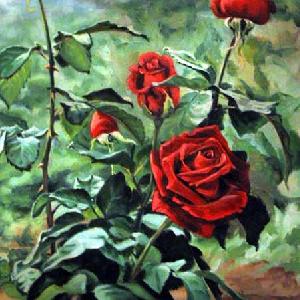 Rosas en rosal